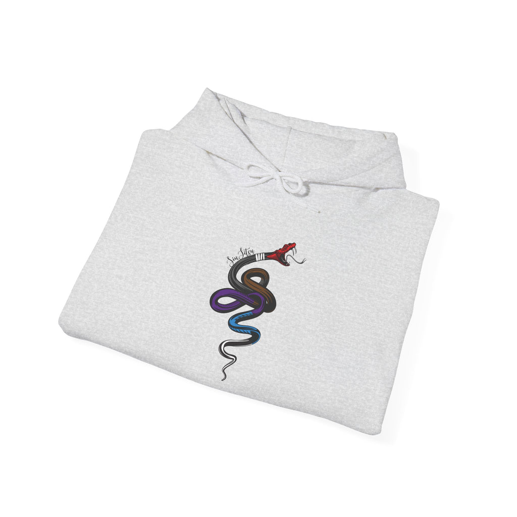 Snake Jiu-Jitsu Belt Levels Hoodie Unisex Heavy Blend Sweatshirt