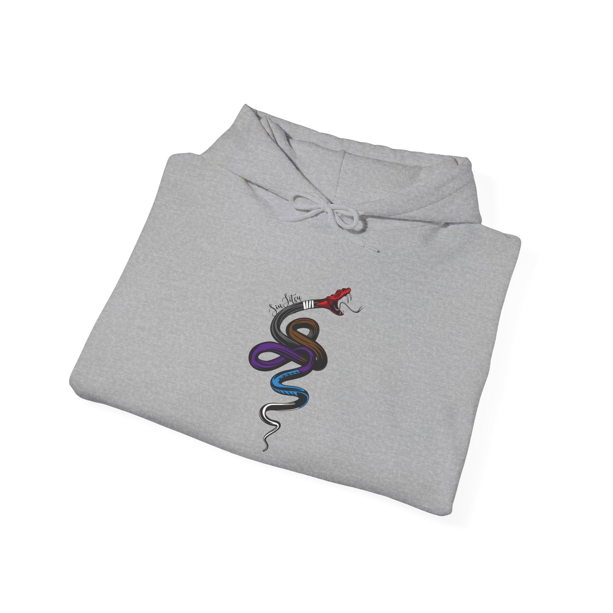 Snake Jiu-Jitsu Belt Levels Hoodie Unisex Heavy Blend Sweatshirt